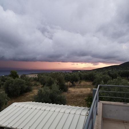 Panoramic View Summerhouse Loukissia Exterior foto