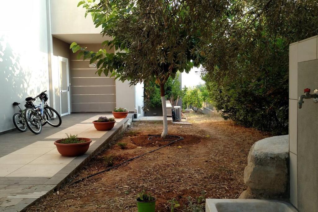 Panoramic View Summerhouse Loukissia Exterior foto